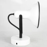 Спот Lussole Fargo LSP-8801 (220V)