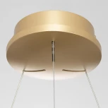 Подвесной светильник светодиодный с пультом Citilux Юпитер CL730B092S (регулировка яркости, 220V, на тросе, кольцо)