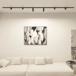 Трековый светильник однофазный Denkirs Scope DK6060-BK (220V)