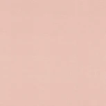 Обои виниловые Rasch Club Botanique 531350 10,05 x 0,53 м