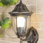 Настенный фонарь уличный Elektrostandard Feliz GL 1002U черное золото