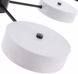 Потолочная люстра светодиодная на штанге Arte Milano Ferrara 250906/8B Bk/Wh (220V, круглые)