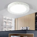 Потолочный светильник круглый светодиодный с пультом регулировкой цветовой температуры и яркости ЭРА SPB-6-70-RC Savern W (220V, круглые)