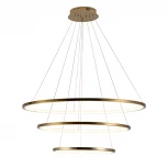 Подвесной светильник Loft IT Ring 10015/3 (LED, 220V, на тросе, кольцо)