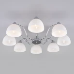 Потолочная люстра Eurosvet Carissa 30172/8 хром