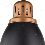 Подвесной светильник Arte Lamp Eurica A4248SP-1BK (220V, на проводе, круглые)