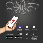 Потолочная люстра Eurosvet Smart Rosca 90236/8 чёрный кофе