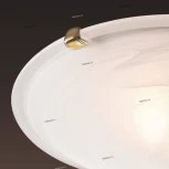 Настенно-потолочный светильник Sonex Duna 153/K золото