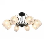 Потолочная люстра Omnilux 655 OML-65507-08
