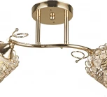 Потолочная люстра на штанге Reluce 04481-0.3-02 FGD (220V)