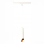 Трековый светильник однофазный ST Luce ST152.506.01 (220V, круглые)