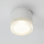 Потолочный светильник уличный Arte Lamp Piautos A1926PF-1WH (220V, круглые, IP54)