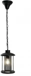 Уличный подвесной светильник Feron Бордо 48389 PL725 60W E27 черный