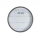 Потолочный светильник Loft IT Axel 10002/24 Black