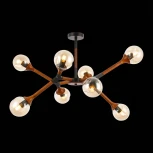 Потолочная люстра на штанге Evoluce Raquel SLE109402-08 (220V, шарики)