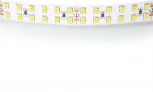Светодиодная лента белого свечения 24V Lightstar 421504