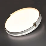 Настенно-потолочный светильник Sonex Olidi White 7646/EL PALE SN пластик/золотой LED 70Вт 3000-6000К D490 IP43 пульт ДУ