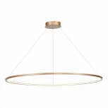 Подвесной светильник ST Luce St603 in ST603.243.57 (LED, 220V, на тросе, кольцо)