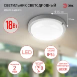 Настенно-потолочный светильник светодиодный ЭРА SPB-201-0-40K-018 (220V, круглые, IP65)