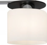 Потолочная люстра Freya Bice FR5101-CL-04-CN (220V)