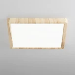 Настенно-потолочный светильник Citilux Бейсик CL738K242V (регулировка яркости, LED, 220V, IP40)