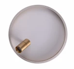 Потолочный светильник круглый со спотом Zortes Raizy ZRS.1888.04 (LED, 220V, круглые)