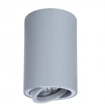 Накладной точечный светильник Arte Lamp Sentry A1560PL-1GY
