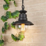 Уличный светильник подвесной Elektrostandard Talli черный GL 3002H (220V, на цепи, IP44)