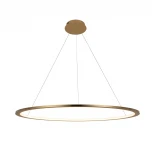Подвесной светильник Loft IT Ring 10014L (LED, 220V, на тросе, кольцо)