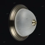 Потолочный светильник круглый Freya Planum FR2913-CL-02-BZ (220V)