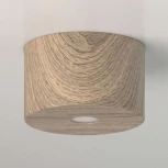 Потолочный светильник круглый DeMarkt Иланг 712010201 (LED, 220V)