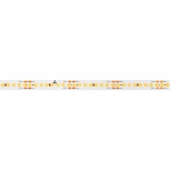 Светодиодная лента COB-X192-10mm 24V Day4000 (14.4 W/m, IP20, DOT, 5m) (Arlight, Открытый) 037229