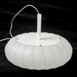 Подвесной светильник Lussole Claudia LSP-0922 (LED, 220V, на проводе)