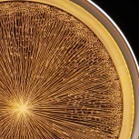 Потолочный светильник круглый DeMarkt Норден 660015101 (регулировка яркости, LED, 220V, пульт управления, круглые)