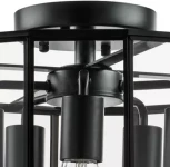 Потолочная люстра Lightstar Genni 798257 (220V, круглые)