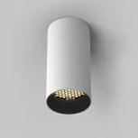 Точечный накладной ветильник Maytoni Artisan C080CL-01-GU10-W (220V, круглые)