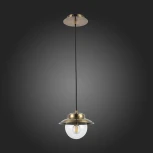 Подвесной светильник Evoluce Garonni SLE110103-01