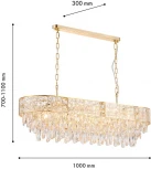 Подвесная люстра хрустальная Favourite Elysium 4720-10P (220V, на цепи)