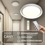 Потолочный светильник круглый Denkirs Cany DK6516-WH (регулировка яркости, LED, 220V, пульт управления, умный дом - Алиса, Smart Life, круглые)