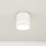 Накладной точечный светильник Citilux Борн CL745020N (LED, 220V, диммер, круглые)