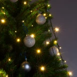 Гирлянда Eurosvet 200-003 теплый белый