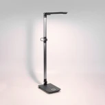 Настольная лампа Elektrostandard Great графит TL70240 (регулировка яркости, LED, 220V, выключатель)