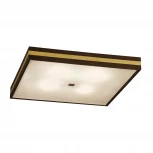 Настенно-потолочный светильник Citilux Kvattro CL940421