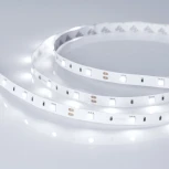 Светодиодная лента RT 2-5000 12V White6000 (5060, 150 LED, LUX) (Arlight, 7.2 Вт/м, IP20) 010595(B)