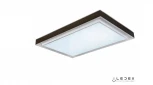 Потолочный светильник iLedex Summery B6233-196W/930*630 WH