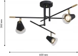 Потолочная люстра на штанге F-Promo Trandy 4618-3C (220V)