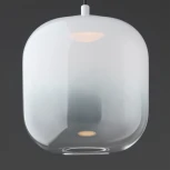 Подвесной светильник Freya Ida FR6133PL-L4W (LED, 220V, на проводе, круглые)