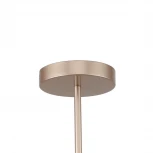 Потолочная люстра на штанге F-Promo Calor 2774-5P (220V)