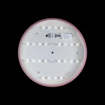 Потолочный светильник круглый Loft IT Axel 10002/24 Pink (LED, 220V, круглые)