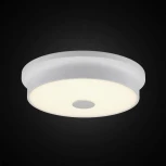 Настенно-потолочный светильник Citilux Фостер-2 CL706220